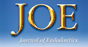 logo-joe